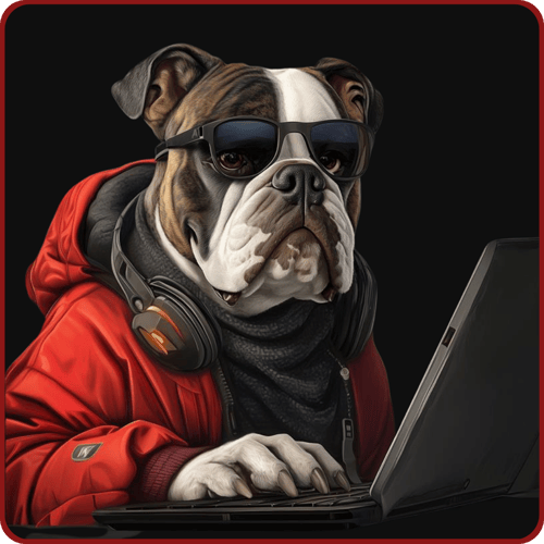 BMP Security | Hackers You Trust, Security You Deserve. | Application Security | AppSec Bulldog